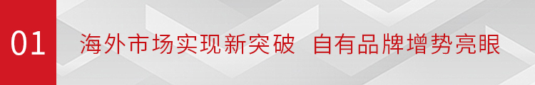 九州官方网站科技（002955）发布2023年年度报告：全年毛利率持续改善 海外战略驱动成长